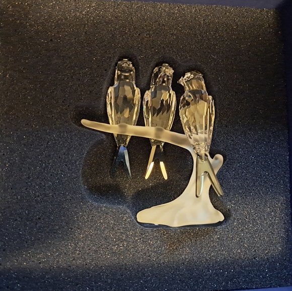 Pristine Swarovski birds swallow on a branch w box, outer box, and COA - Picture 4 of 8